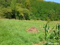 Teren pentru cabană 1084mp