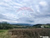 Teren cu panorama superba în Berchezoaia + bonus rulota 