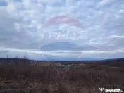 Teren cu panorama superba în Berchezoaia + bonus rulota 