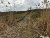 Teren cu panorama superba în Berchezoaia + bonus rulota 