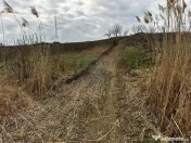 Teren cu panorama superba în Berchezoaia + bonus rulota 