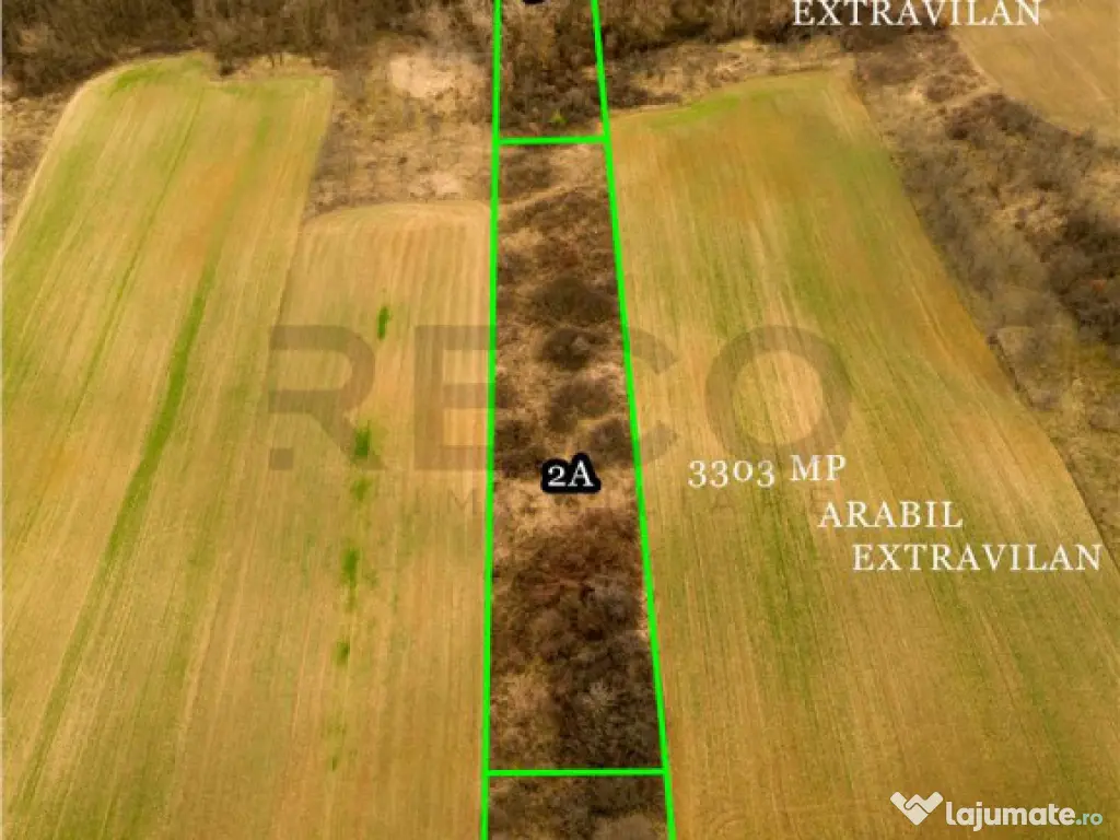 RECO Teren intravilan in Ceica Bihor