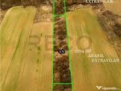 RECO Teren intravilan in Ceica Bihor 