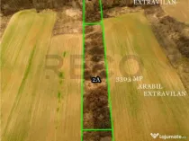 RECO Teren intravilan in Ceica Bihor