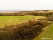 RECO Teren intravilan in Ceica Bihor 