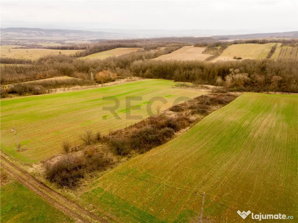 RECO Teren intravilan in Ceica Bihor