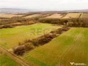 RECO Teren intravilan in Ceica Bihor 