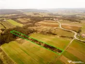 RECO Teren intravilan in Ceica Bihor 