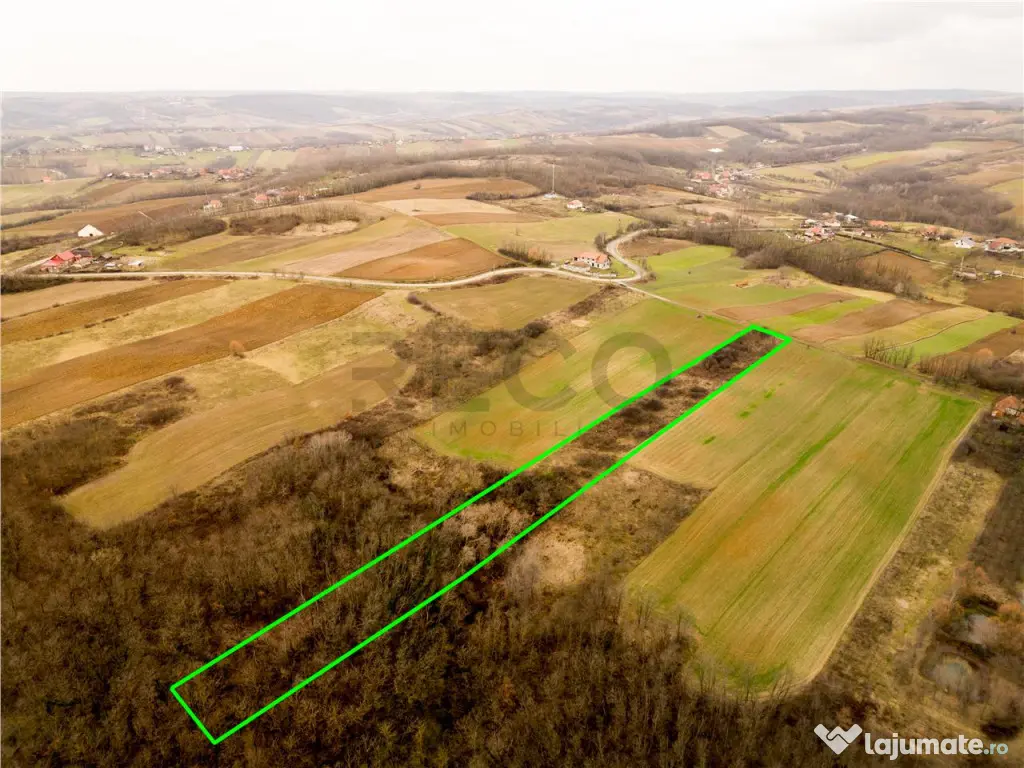 RECO Teren intravilan in Ceica Bihor