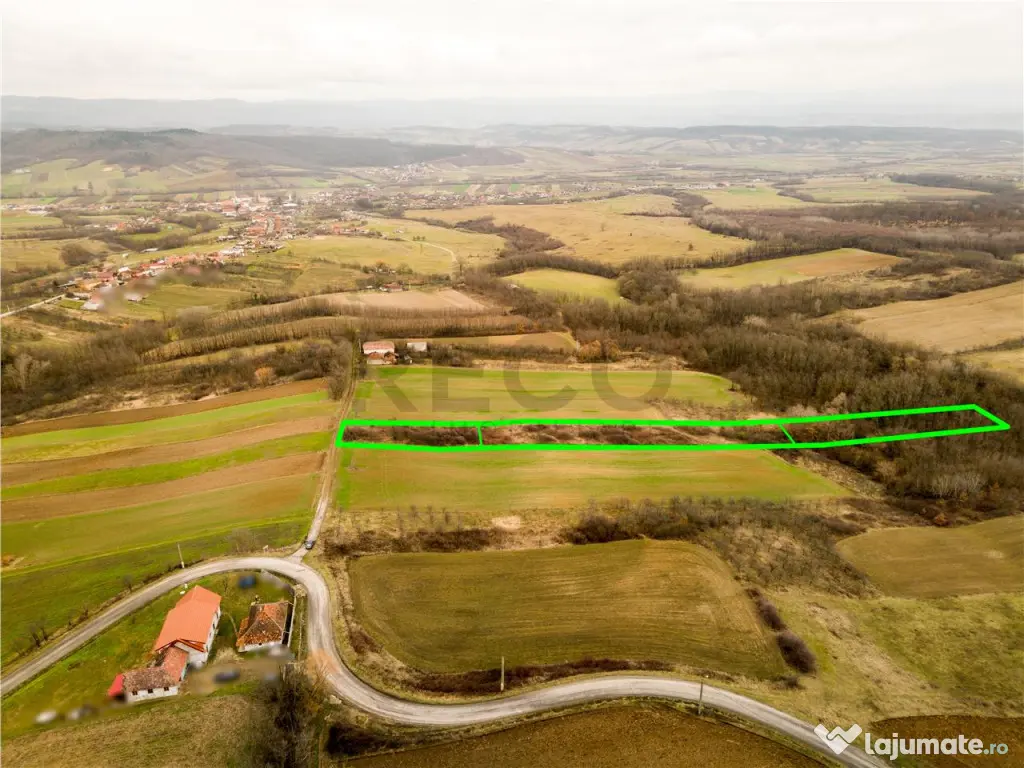 RECO Teren intravilan in Ceica Bihor