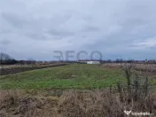 Teren intravilan in Bors cu front mare 