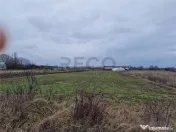 Teren intravilan in Bors cu front mare 