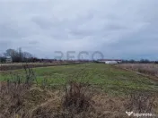 Teren intravilan in Bors cu front mare 