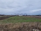 Teren intravilan in Bors cu front mare 