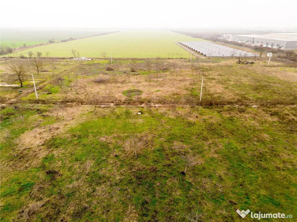 RECO teren de in Palota