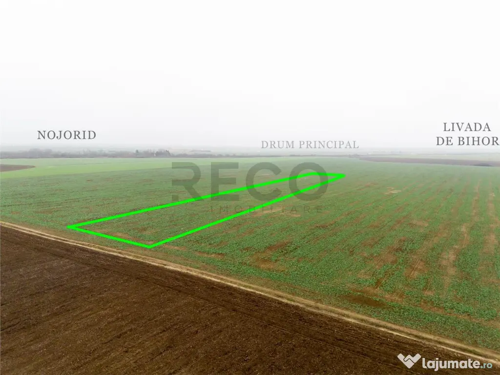 RECO Teren extravilan 5800 mp Livada de Bihor