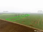 RECO Teren extravilan 5800 mp Livada de Bihor