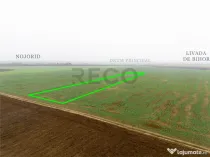 RECO Teren extravilan 5800 mp Livada de Bihor