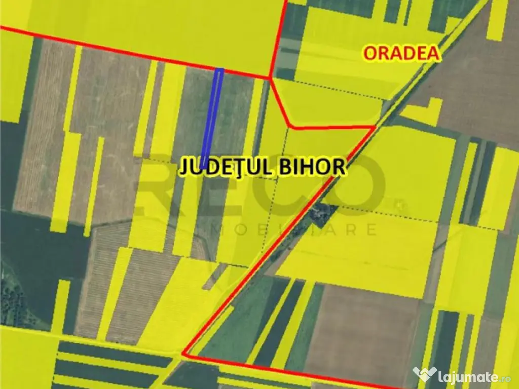RECO Teren extravilan 5800 mp Livada de Bihor