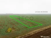 RECO Teren extravilan 5800 mp Livada de Bihor 