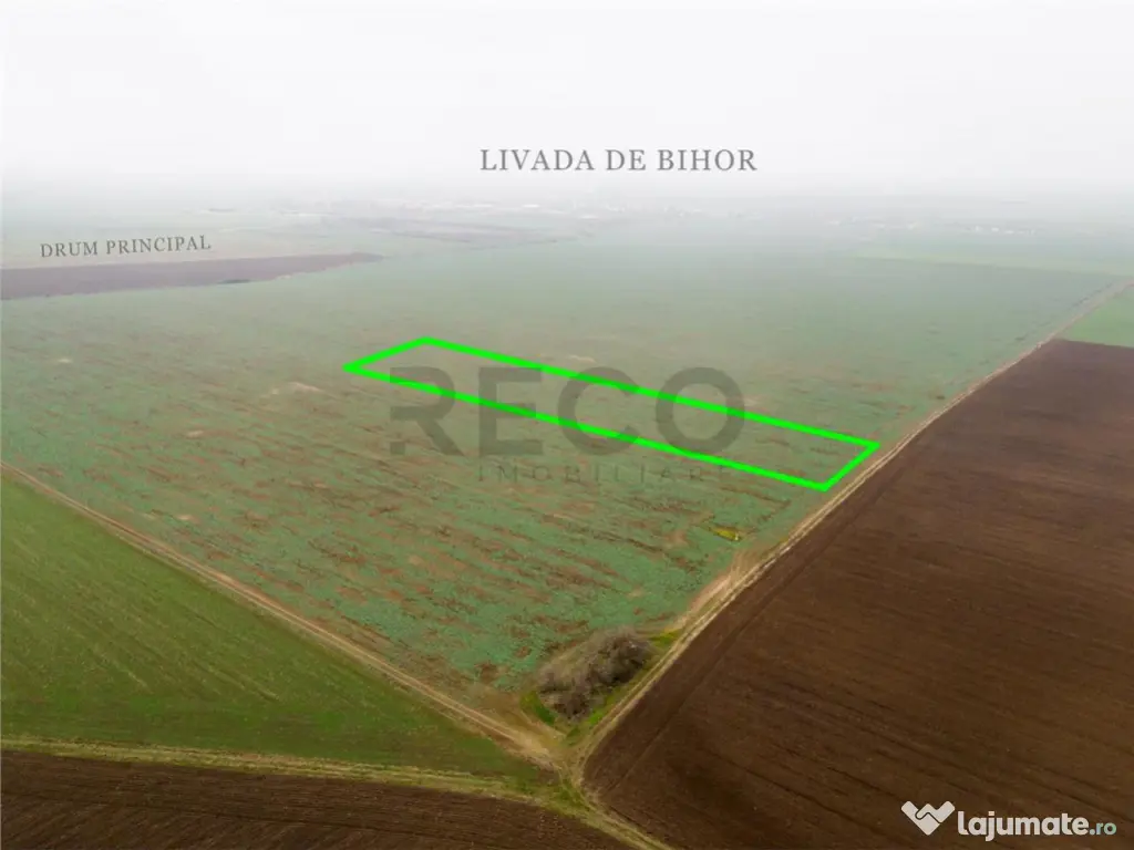 RECO Teren extravilan 5800 mp Livada de Bihor