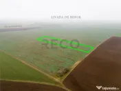 RECO Teren extravilan 5800 mp Livada de Bihor 