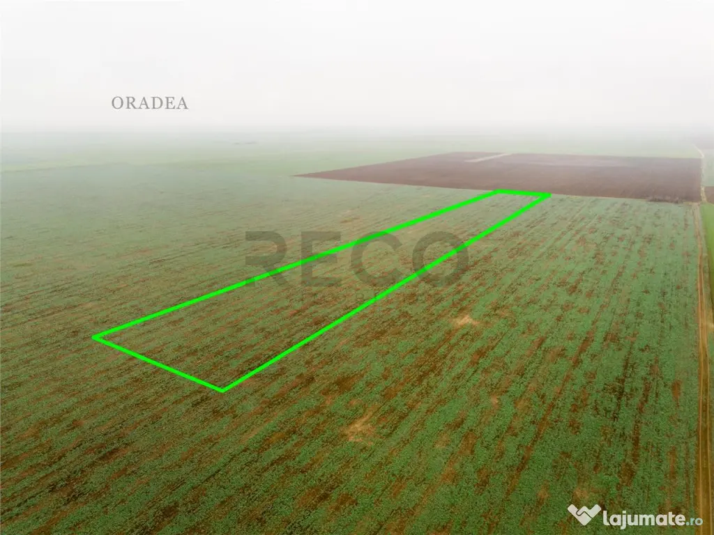 RECO Teren extravilan 5800 mp Livada de Bihor