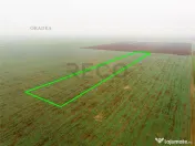 RECO Teren extravilan 5800 mp Livada de Bihor 