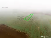 RECO Teren extravilan 5800 mp Livada de Bihor 