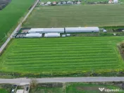 Teren intravilan 7.811 mp | Ciolpani, Ilfov | Acces drum pub 