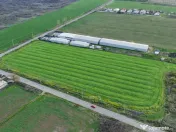 Teren intravilan 7.811 mp | Ciolpani, Ilfov | Acces drum pub 