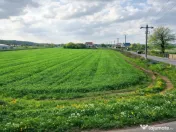 Teren intravilan 7.811 mp | Ciolpani, Ilfov | Acces drum pub 