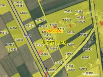 Vând teren intravilan Pascani