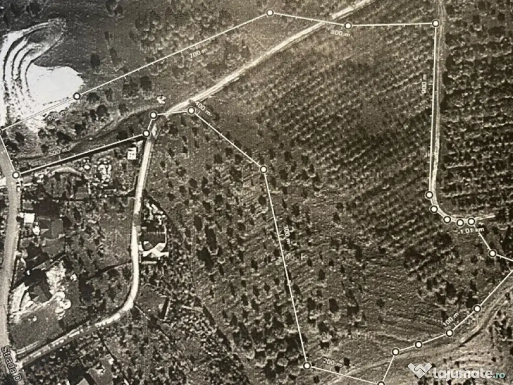 Teren de Vânzare – 34.485 mp | Câmpulung Muscel | Zonă