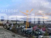 Teren de Vânzare – 34.485 mp | Câmpulung Muscel | Zonă 