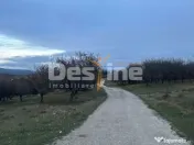 Teren de Vânzare – 34.485 mp | Câmpulung Muscel | Zonă 