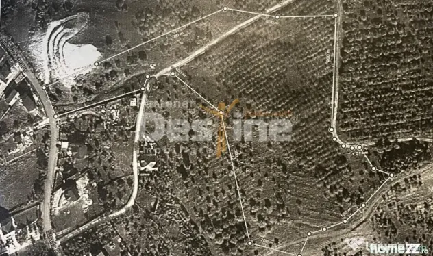 Teren de Vânzare – 34.485 mp | Câmpulung Muscel | Zonă