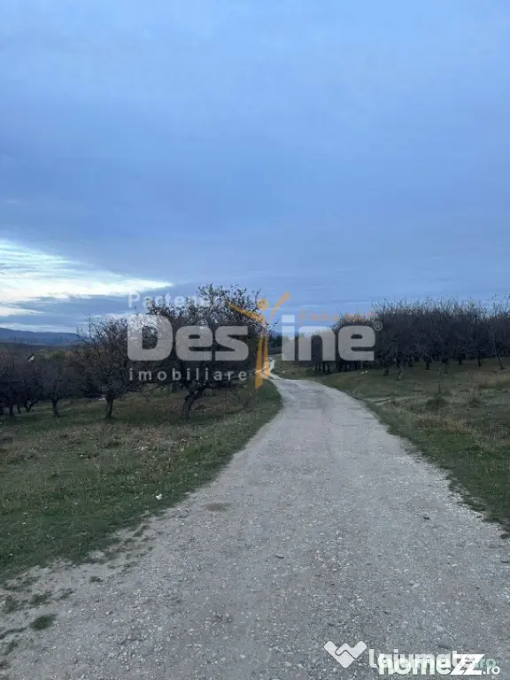 Teren de Vânzare – 34.485 mp | Câmpulung Muscel | Zonă