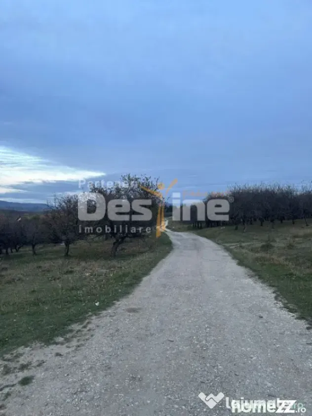 Teren de Vânzare – 34.485 mp | Câmpulung Muscel | Zonă