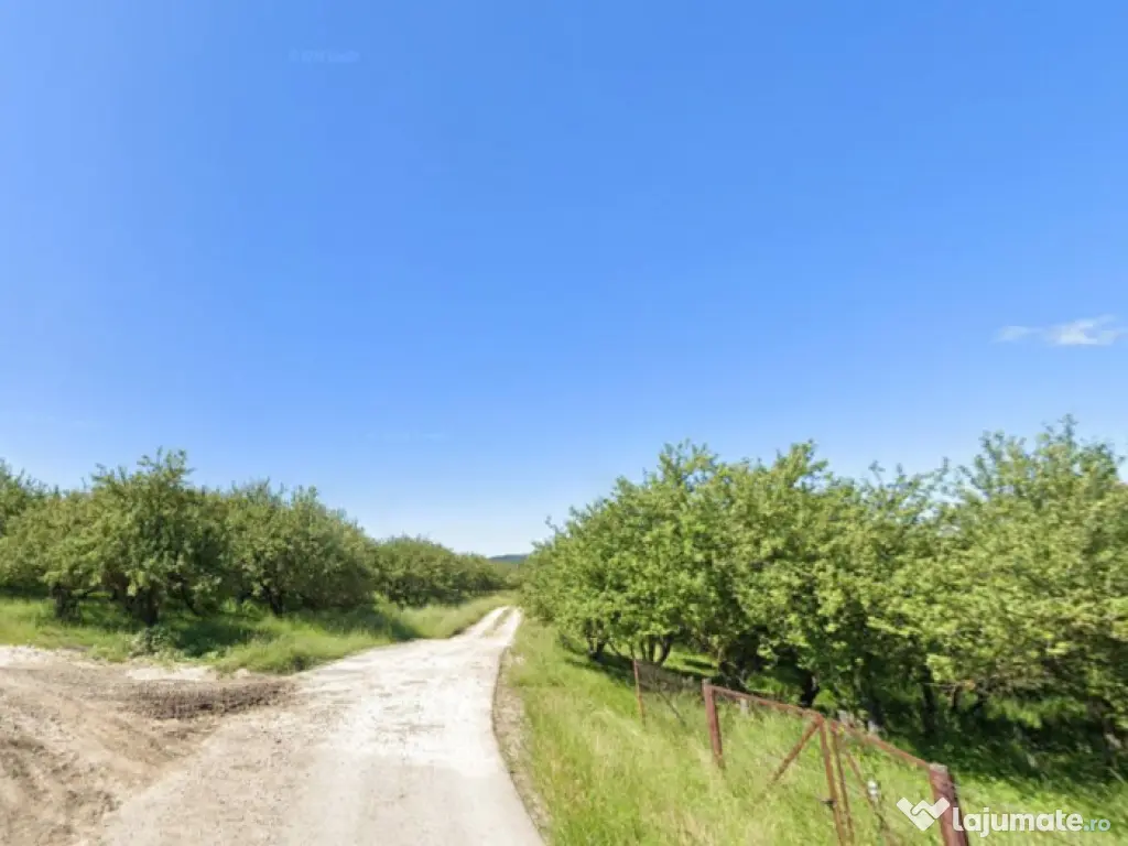 Teren de Vânzare – 34.485 mp | Câmpulung Muscel | Zonă