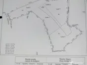 Teren de Vânzare – 34.485 mp | Câmpulung Muscel | Zonă 