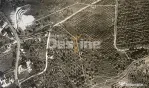 Teren de Vânzare – 34.485 mp | Câmpulung Muscel | Zonă