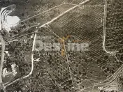 Teren de Vânzare – 34.485 mp | Câmpulung Muscel | Zonă 