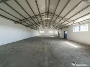 Hale & Birouri Mărăcineni - 1.294 mp - Deschidere la DN 