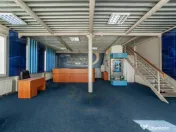 Hale & Birouri Mărăcineni - 1.294 mp - Deschidere la DN 