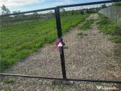 Teren 5600 mp Snagov Lac 