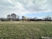 Teren de vanzare Blagesti Bacau 