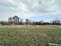 Teren de vanzare Blagesti Bacau