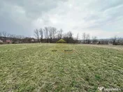 Teren de vanzare Blagesti Bacau 