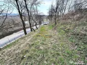 Teren de vanzare Blagesti Bacau 